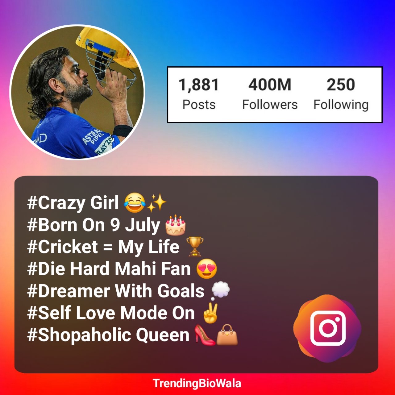 Cricket Lover Stylish Bio For Instagram