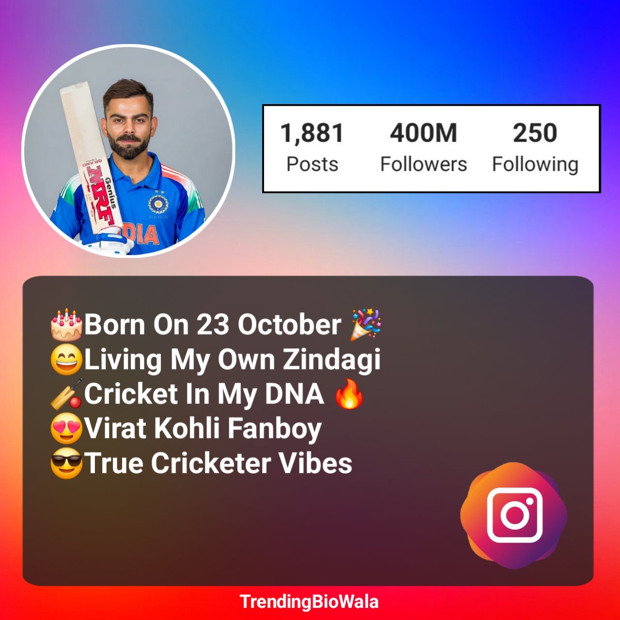 Instagram Bio For Cricket Lovers